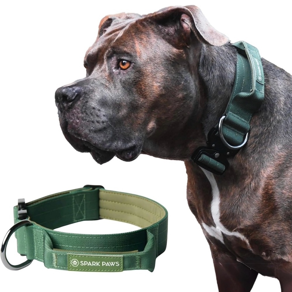 Spark Paws Green Dog Collar Medium